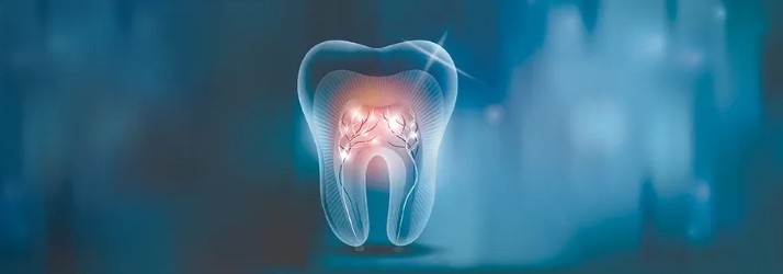 Root Canal Recovery in South Gate CA